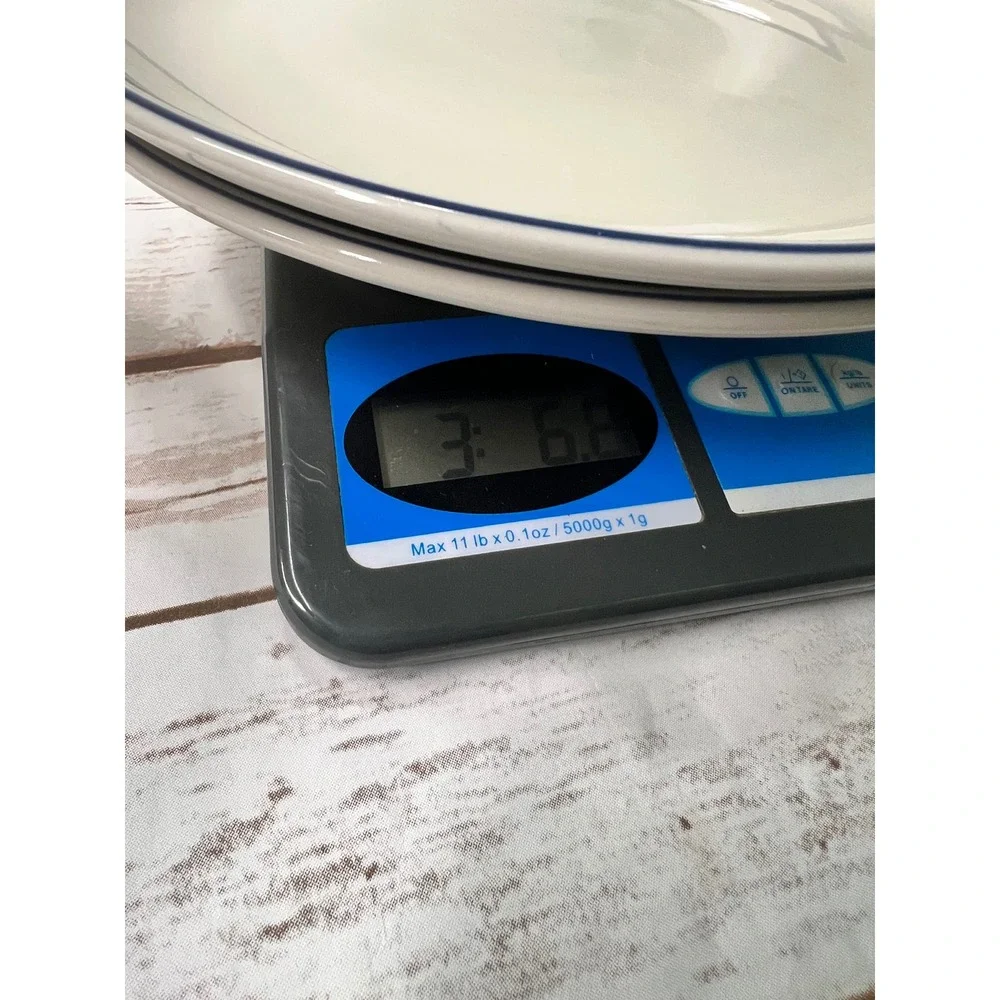 Belagio Dinner Plates Cream Navy Blue Double Rim 10.5 Inch Set of 2